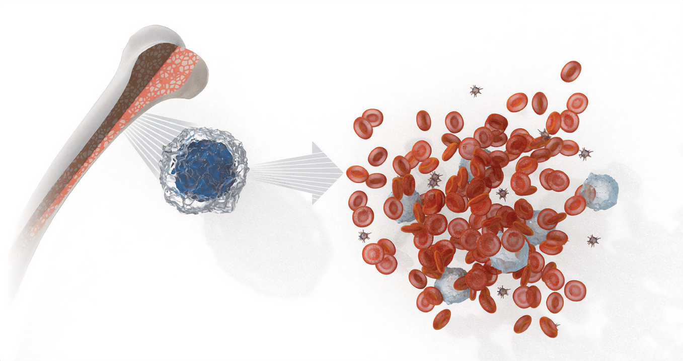 Illustration, Mutated Stem Cell