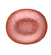 blood cell, red