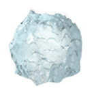 blood cell, white
